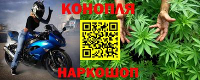 прущие грибы Малгобек