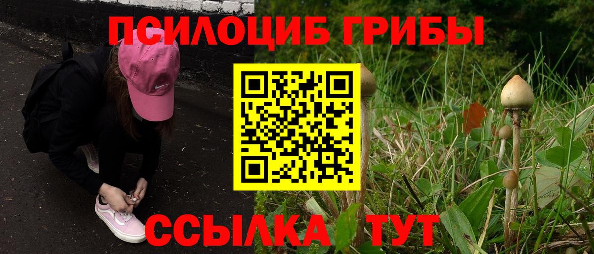 Галлюциногенные грибы GOLDEN TEACHER Избербаш